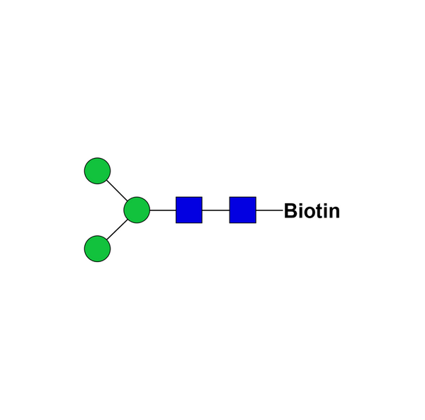 biotin structure